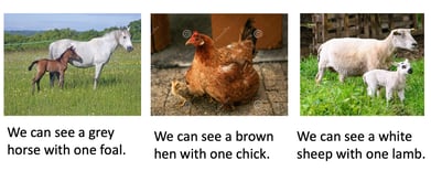 images for blog3-1